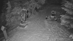 Bílá - běžecká trať