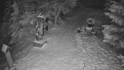 Bílá - běžecká trať