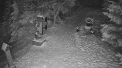 Bílá - běžecká trať