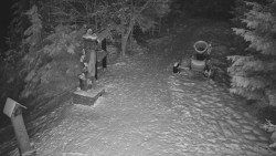 Bílá - běžecká trať