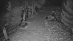 Bílá - běžecká trať