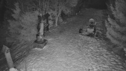 Bílá - běžecká trať