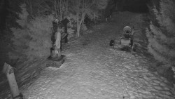 Bílá - běžecká trať