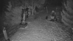 Bílá - běžecká trať