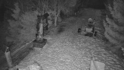 Bílá - běžecká trať