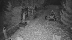 Bílá - běžecká trať