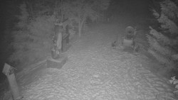 Bílá - běžecká trať