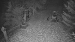 Bílá - běžecká trať