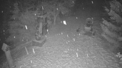 Bílá - běžecká trať