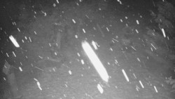 Bílá - běžecká trať