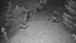 Bílá - běžecká trať