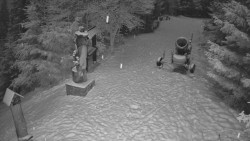 Bílá - běžecká trať