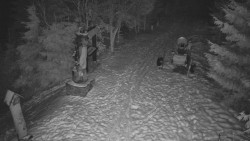 Bílá - běžecká trať