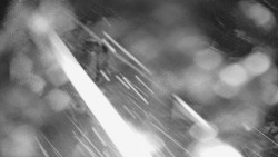 Bílá - běžecká trať