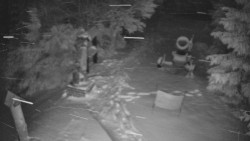 Bílá - běžecká trať