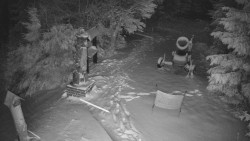 Bílá - běžecká trať