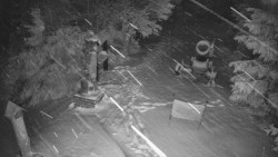 Bílá - běžecká trať