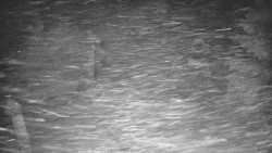 Bílá - běžecká trať