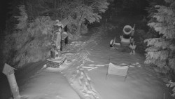 Bílá - běžecká trať