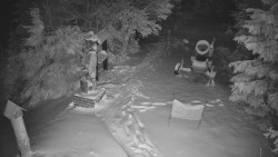 Bílá - běžecká trať