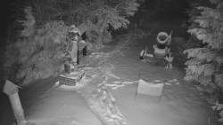 Bílá - běžecká trať