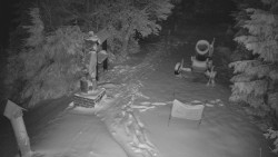 Bílá - běžecká trať