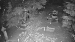 Bílá - běžecká trať