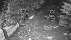 Bílá - běžecká trať