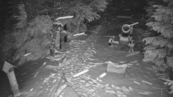 Bílá - běžecká trať