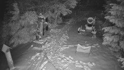 Bílá - běžecká trať