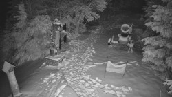 Bílá - běžecká trať