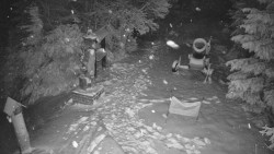 Bílá - běžecká trať