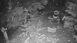 Bílá - běžecká trať