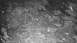 Bílá - běžecká trať