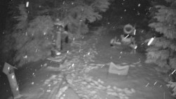 Bílá - běžecká trať