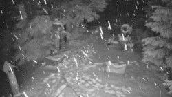 Bílá - běžecká trať