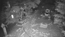 Bílá - běžecká trať