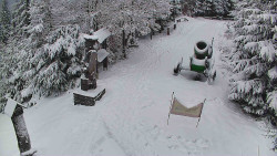 Bílá - běžecká trať