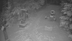 Bílá - běžecká trať