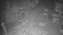 Bílá - běžecká trať