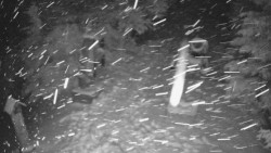 Bílá - běžecká trať