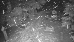 Bílá - běžecká trať