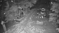 Bílá - běžecká trať