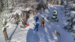 Bílá - běžecká trať