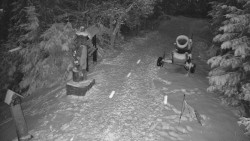 Bílá - běžecká trať