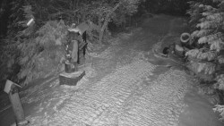 Bílá - běžecká trať