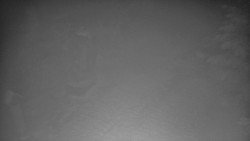 Bílá - běžecká trať