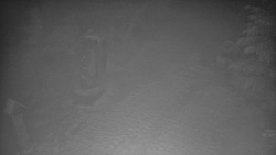 Bílá - běžecká trať