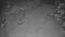 Bílá - běžecká trať