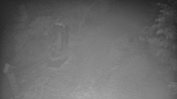 Bílá - běžecká trať